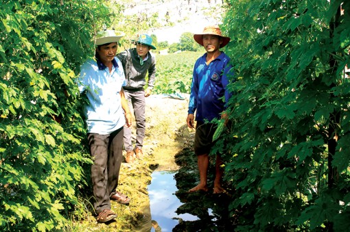 Thúc đẩy sản xuất

nông nghiệp an toàn
