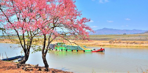 Về miệt An Giang