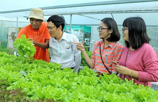 Cần Thơ đã có những bước đi ban đầu trong Cách mạng Công nghiệp 4.0