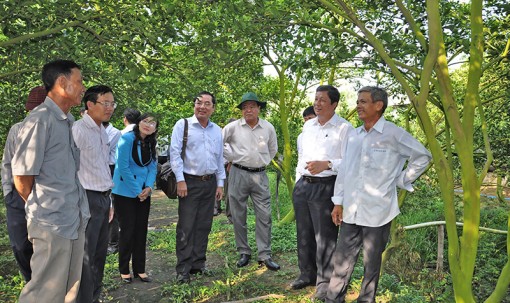 Tăng cường xây dựng, chỉnh đốn Đảng <br>

 Bài cuối: Tiếp tục thực hiện nhiều giải pháp với quyết tâm cao