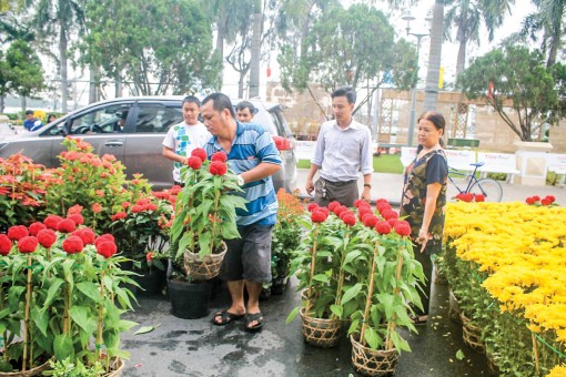 Nhiều điểm kinh doanh hoa kiểng, bánh mứt thời vụ Tết 
