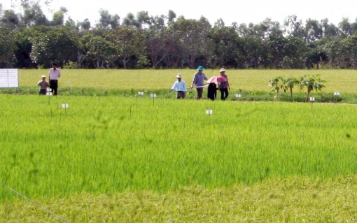 វិនិ​យោគ​ទុ​ន​អភិ​វឌ្ឍ​ផលិត​កម្ម ដើម្បី​បង្កើន​ប្រាក់​ចំ​ណូល