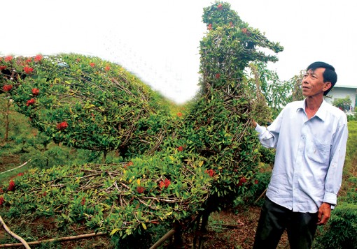 Sản phẩm kiểng thú “độc lạ”

của anh nông dân Cần Thơ