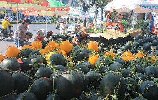 Dưa hấu chưng Tết về phố chậm so mọi năm