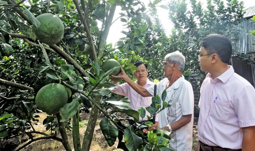 Thêm thu nhập, cải thiện cuộc sống người nghèo