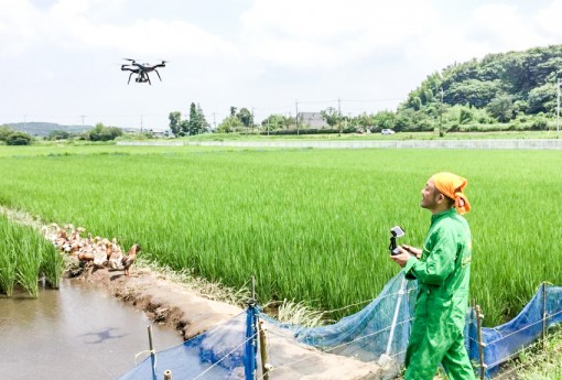 UAV thay đổi ngành nông nghiệp Nhật Bản 