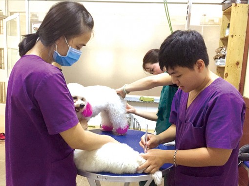 Chuyện năm Tuất <br>

<I>Vui buồn cùng cún cưng</I>