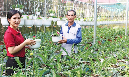 Đậm đà sắc xuân