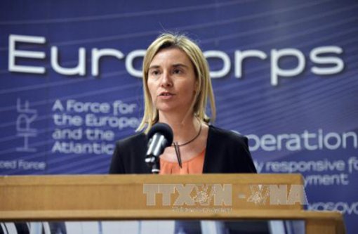 EU triển khai lực lượng phản ứng nhanh trong năm 2018
