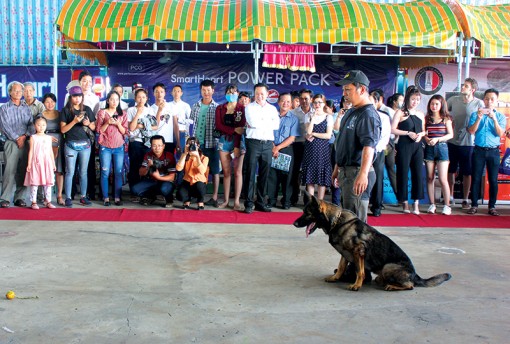 Chuyện năm Tuất <br>
<I>Từ trường đua đến đấu trường “nhan sắc”</I>