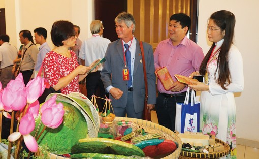 Chuyển động cùng Đồng Tháp Mười