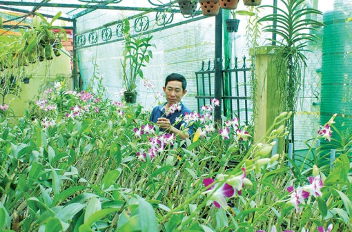 Duyên hải trở mình