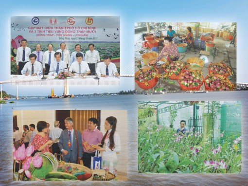 Đồng bằng hội tụ