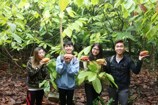 Dịp Tết, Cần Thơ đón hơn 99.000 lượt khách tham quan, du lịch mỗi ngày