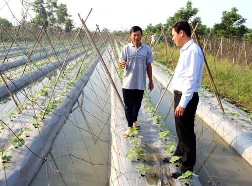 Đoàn kết giúp nhau phát triển kinh tế
