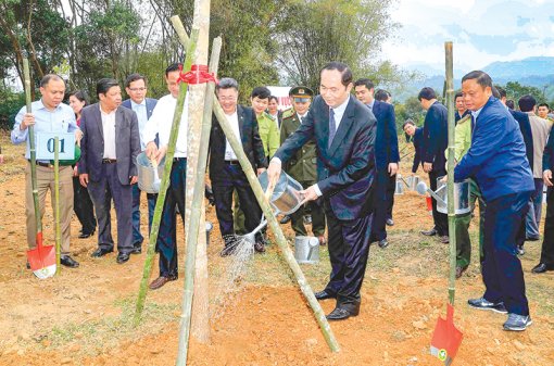 Chủ tịch nước phát động Tết trồng cây Xuân Mậu Tuất
