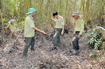 Kiên Giang: Hơn 10 tỷ đồng phòng chống cháy rừng mùa khô