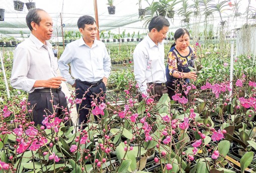 Diện mạo mới cho nông nghiệp đô thị <br>

<I>Bài cuối:  Đầu tư công nghệ, tìm đầu ra cho sản phẩm</I>