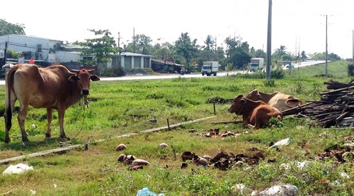 [Ảnh] Văn minh đô thị<br>

<I>Chưa đẹp ở cửa ngõ thành phố</I>