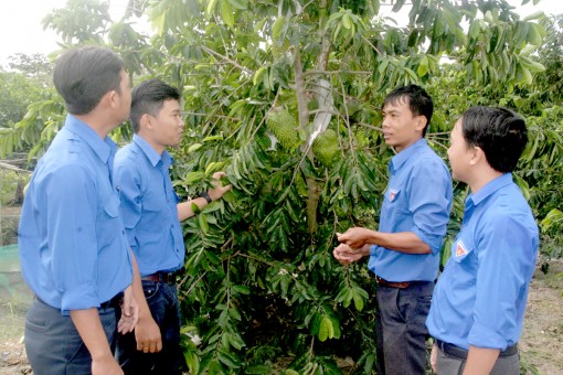 Hỗ trợ 142 dự án khởi nghiệp của thanh niên