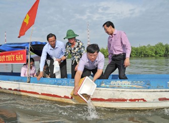 Trên 20 triệu con giống được thả xuống đầm Đông Hồ, thị xã Hà Tiên