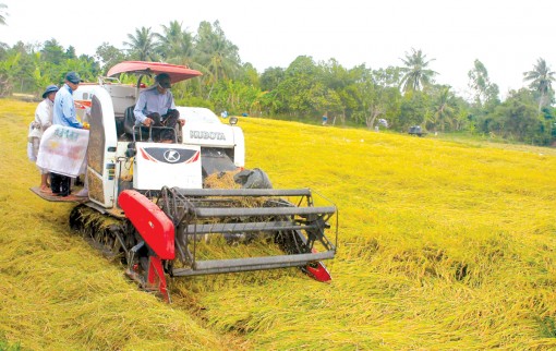 Nông dân “thắng đậm”