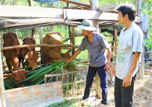 វិញ​ឡុង​ខិត​ខំ​កាត់​បន្ថយ​អត្រា​គ្រួ​សារ​ក្រី​ក្រ