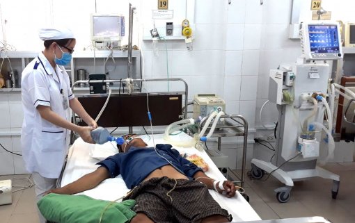 5 người nguy kịch vì ăn cá nóc