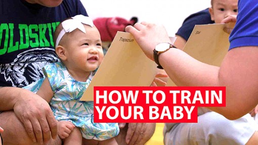 Có thể huấn luyện con thông minh hơn?
