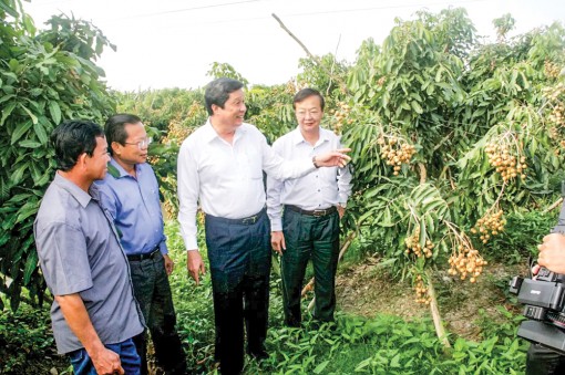 Thường trực Thành ủy làm việc với Huyện ủy Cờ Đỏ