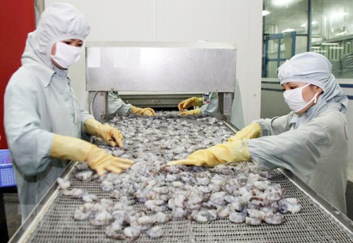 Yêu cầu Hoa Kỳ xem xét lại mức thuế

chống bán phá giá cho tôm Việt Nam