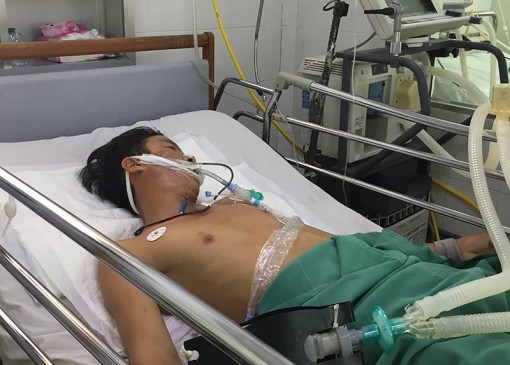 Ngộ độc vì ăn cá nóc: Không nên chủ quan!