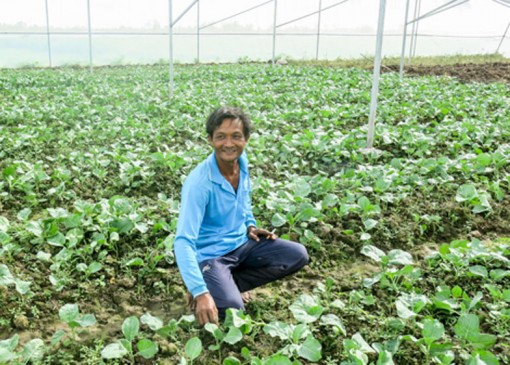 ដាំដំណាំ​រួម​ផ្សំ​ចាក​ផុត​ពី​ភាព​ក្រី​ក្រ