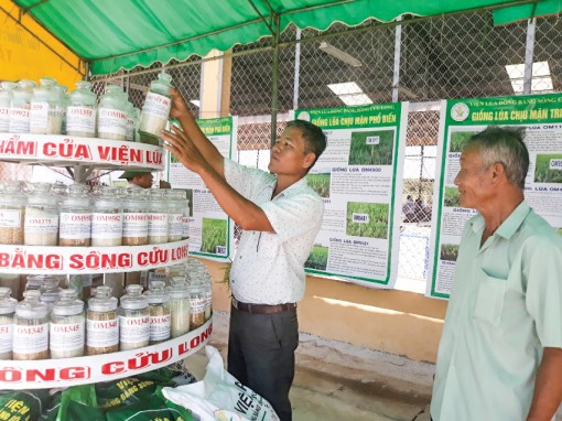 Nghiên cứu chọn tạo giống theo nhu cầu thị trường