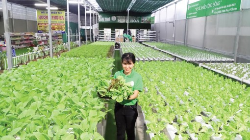 Công nghệ sau thu hoạch của Israel