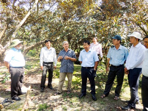 Nâng tầm xã nông thôn mới Giai Xuân