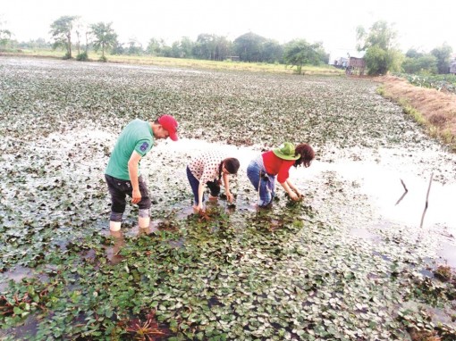 Phát triển du lịch sinh thái