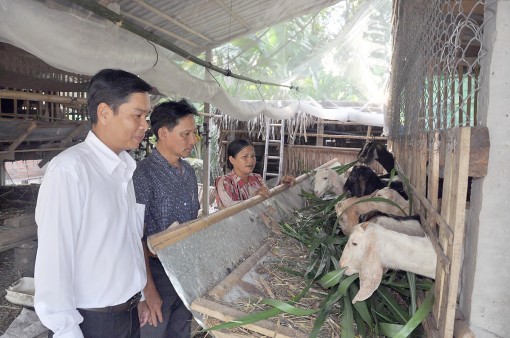 Nâng cao chất lượng nguồn nhân lực, đáp ứng yêu cầu hội nhập và phát triển