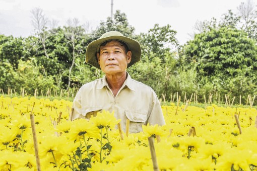 Cần hỗ trợ để

Làng hoa Phó Thọ - Bà Bộ phát triển bền vững