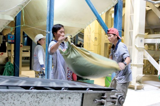 Hỗ trợ doanh nghiệp xây dựng thương hiệu