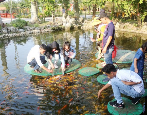 Quảng bá và liên kết trọng điểm