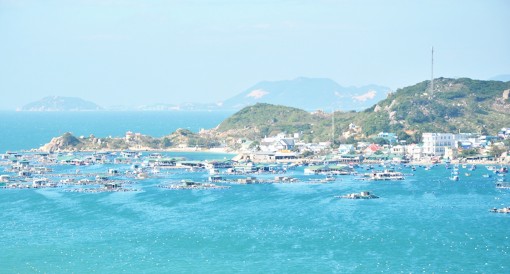 Khám phá biển Ninh Thuận