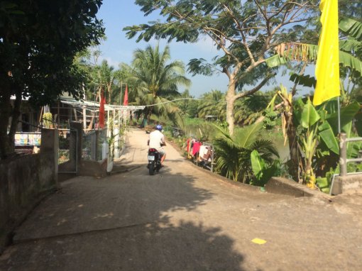 Tuyến đường sáng - xanh - sạch- đẹp