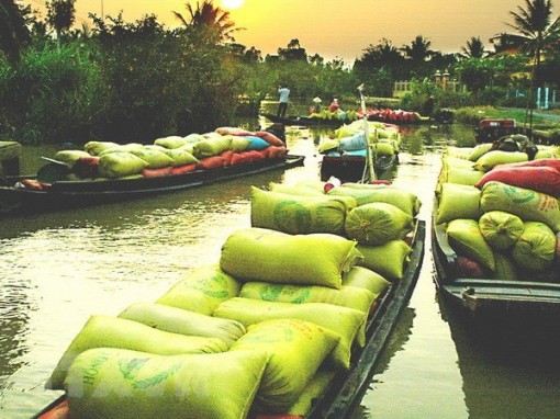 Vùng Đồng bằng sông Cửu Long có chi phí sinh hoạt rẻ nhất cả nước