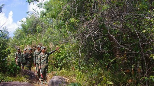 Giữ rừng trên đảo Thổ Chu