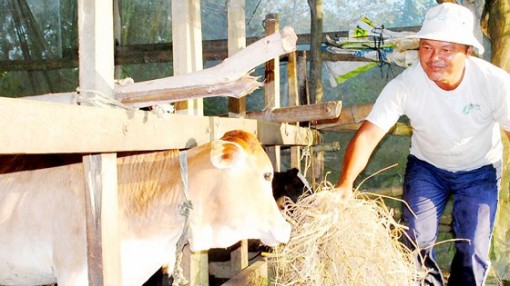 Hỗ trợ bà con Khmer ở Sóc Trăng thoát nghèo