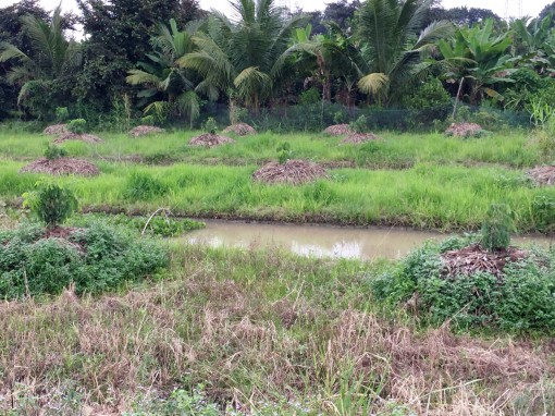 Mất tình thâm vì… tranh chấp đất!