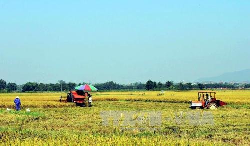 Thủ tướng đồng ý việc tổ chức hội nghị bàn về giải pháp thúc đẩy tập trung đất đai