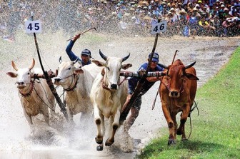 Xây dựng đời sống văn hóa cơ sở ở vùng dân tộc thiểu số Tây Nam Bộ