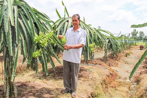 Thiết thực hỗ trợ nông dân nâng cao đời sống